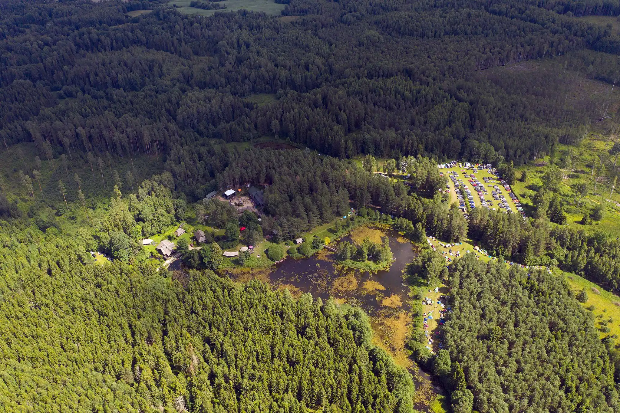 Käbliku mets / Käbliku forest